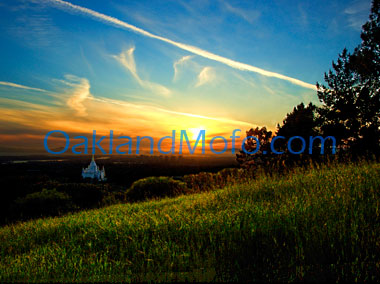 oakland mormon temple photo for sale