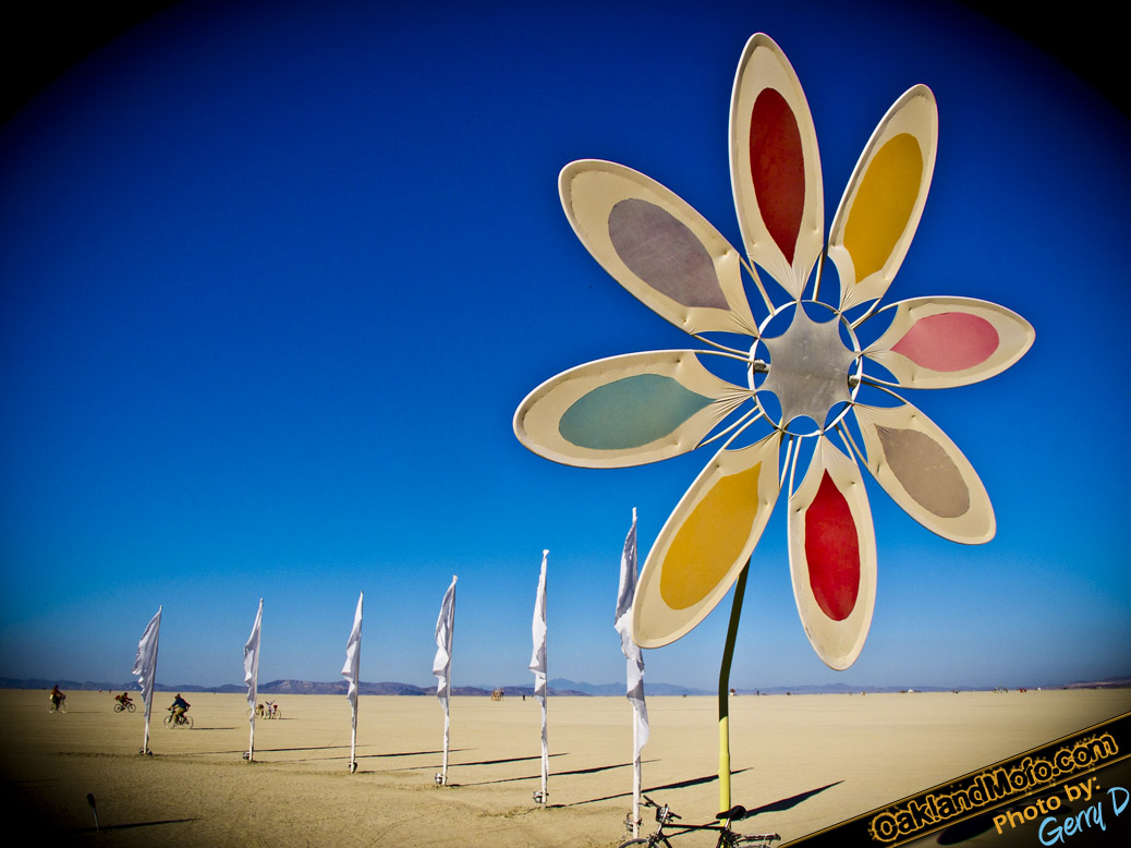 nexus flowers burning man Burning Man 2011 photos Rites of Passage picture