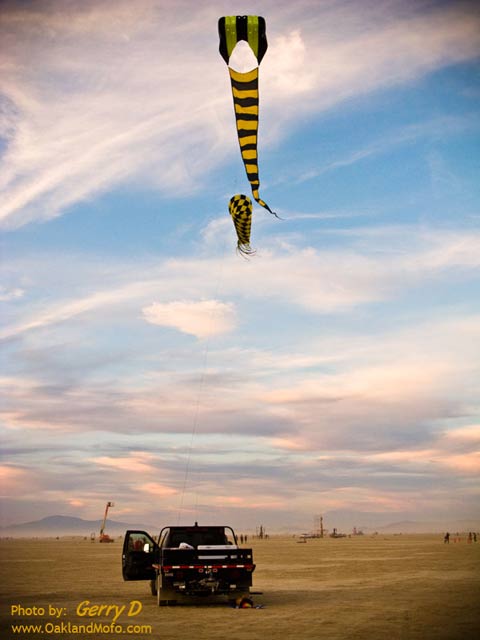 Burning Man 2008 Art
