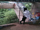 Dimond Park bridge