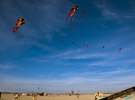 Kites at Burning Man