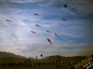 Kites on the Playa